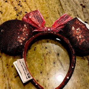 Mickey ears purchased at Disney tag on it worn a few times